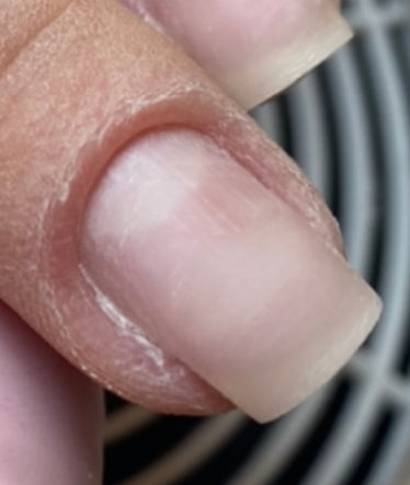 MASTER NAIL ART: Basic Training