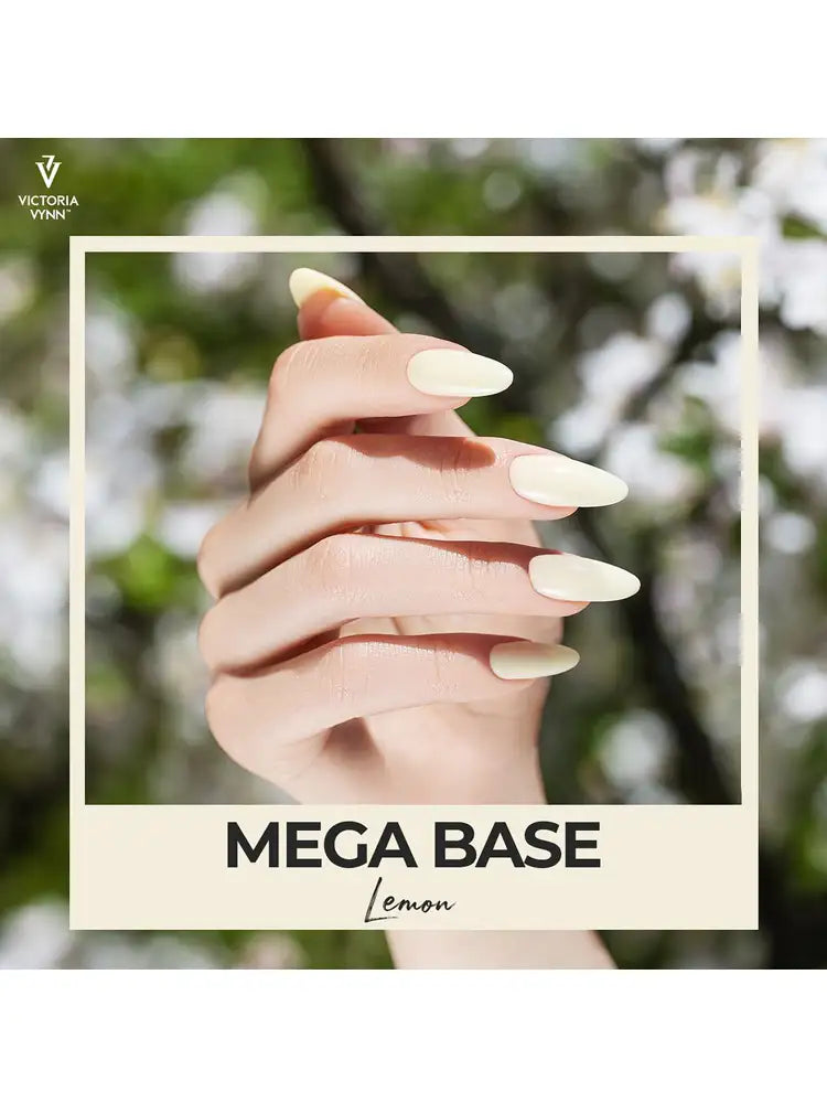 Victoria VYNN couleurs Pastel  Pack de 5 /mega base