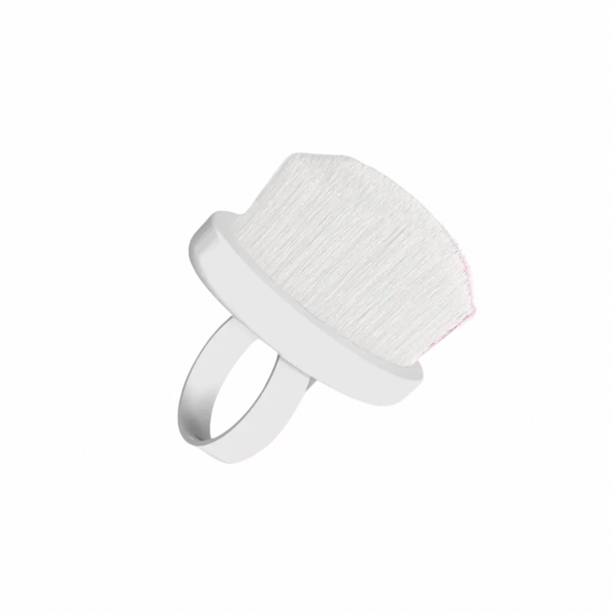 Brosse Dépoussiérage Mini Staleks  – 10 pcs